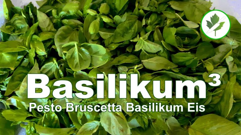 Italienische Pesto-Variationen f&uuml;r Bruschetta