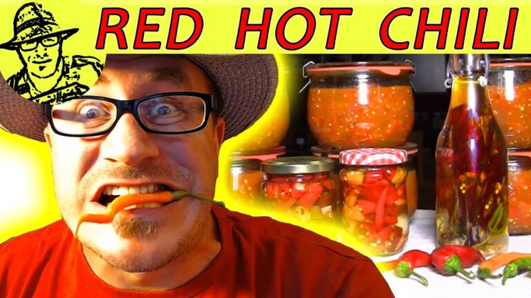 Feurige Pesto-Variationen mit Chili