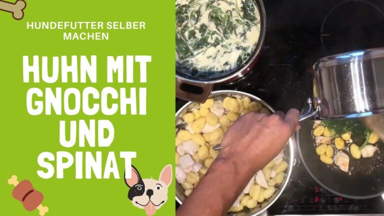 Selbstgemachte Gnocchi mit H&uuml;hnchen: Ein Genuss f&uuml;r Feinschmecker